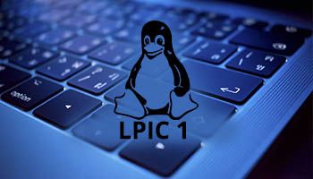 Módulo Administrador Linux LPIC-1 de Profesional Online